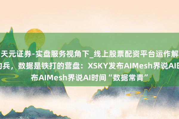 天元证券-实盘服务视角下_线上股票配资平台运作解析 算力是活水的兵，数据是铁打的营盘：XSKY发布AIMesh界说AI时间“数据常青”