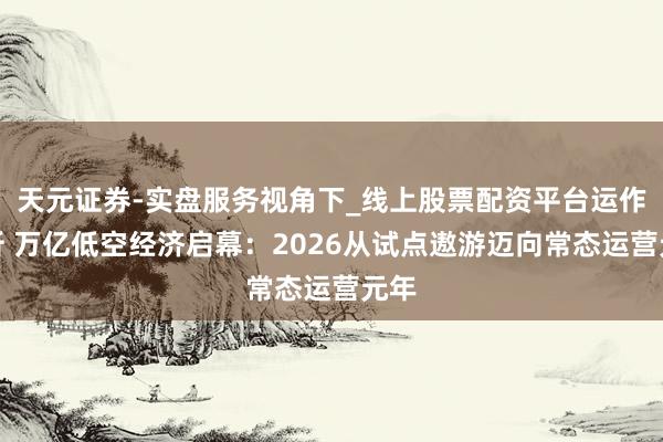 天元证券-实盘服务视角下_线上股票配资平台运作解析 万亿低空经济启幕：2026从试点遨游迈向常态运营元年